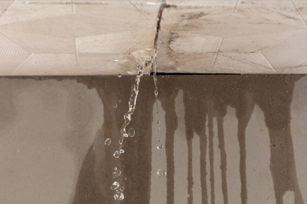 Professional Burst Pipe Cleanup technician working in Braddock, VA